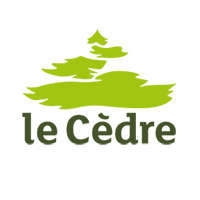 Le Cèdre